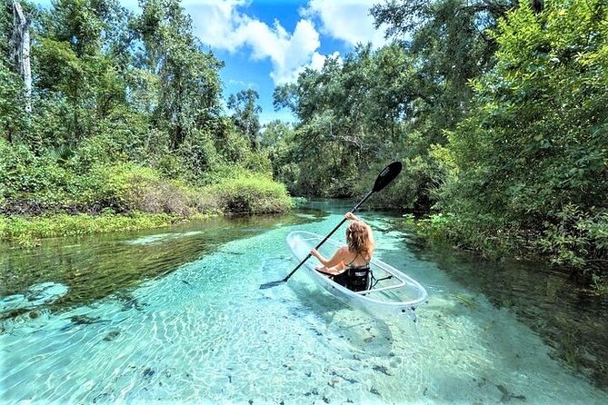 Rock Springs 2-Hour Glass Bottom Guided Kayak Eco Tour - Discover Rock Springs’ Unique Glass Bottom Kayak Eco Tour in Orlando