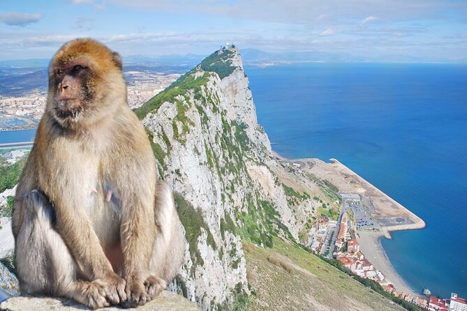 Rock Tour in Gibraltar by Bus with Tickets - Strolling along Gibraltar’s vibrant Main Street