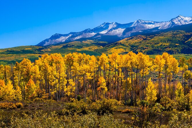 Rocky Mountain and Garden of Gods Self-Guided Driving Audio Tours - Discover Colorado’s Majestic Landscapes with Self-Guided Audio Tours