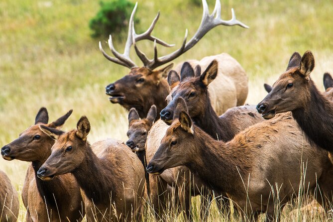 Rocky Mountain Escape - Key Points