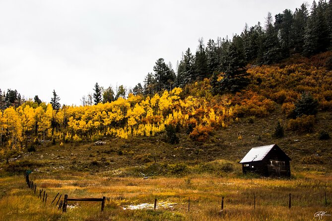 Rocky Mountain Escape - Scenic Drive on Mount Blue Sky Scenic Byway