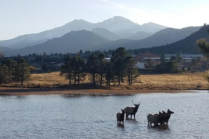 Rocky Mountain National Park and Estes Park Tour from Denver Winter and Spring - Starting Point and Group Size