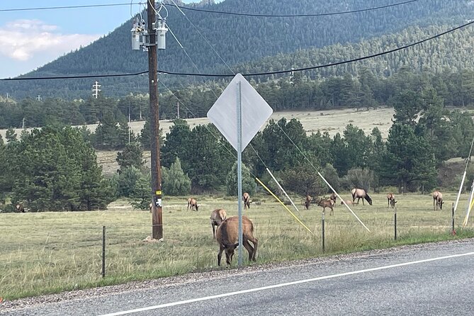 Rocky Mountain National Park Car Tour from Estes Park - Key Points