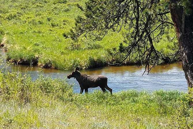Rocky Mountain National Park in Summer Tour from Denver - Visiting the Alpine Visitor Center and Poudre Lake