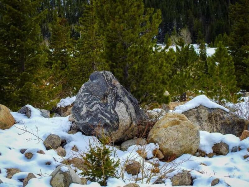 Rocky Mountain National Park: Private Geology Tour - Witnessing Evidence of Geological Processes