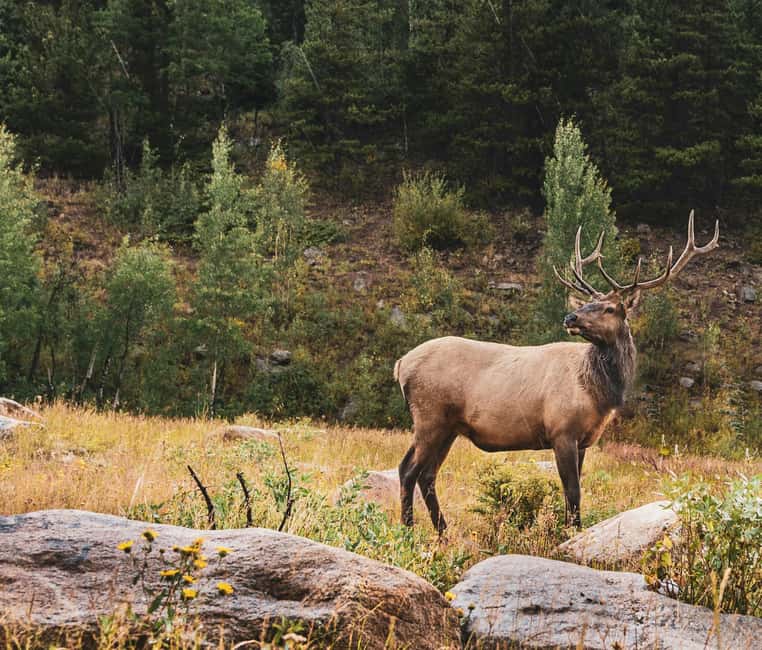 Rocky Mountain National Park: Private Hike to Emerald Lake - Practical Details and Equipment Provided