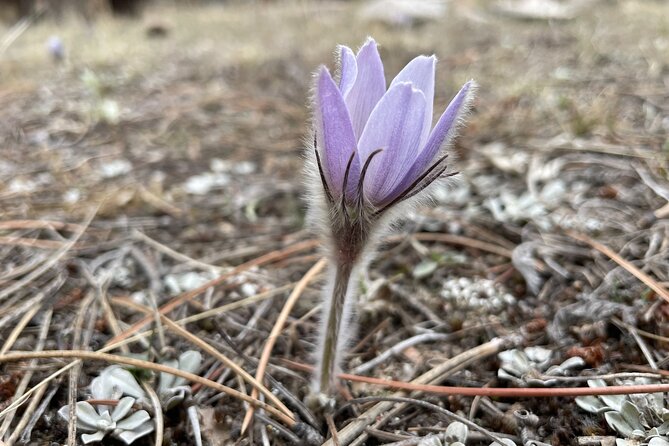 Rocky Mountain National Park Private Tour - The Cost and What’s Included