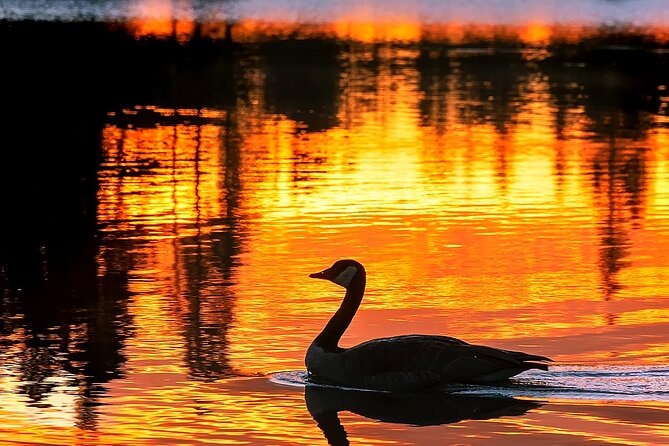 Rocky Mountain National Park Sunrise Hiking Tour - Discover the Rocky Mountain National Park Sunrise Hiking Tour