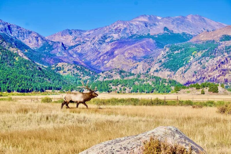 Rocky Mountain National Park: The Bear Lake Corridor - Bear Lake: Iconic Photo Stop and Walk