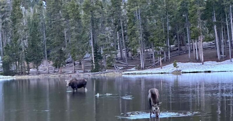 Rocky Mountain National Park: The Bear Lake Corridor - Comparing This Tour to Other Rocky Mountain Experiences