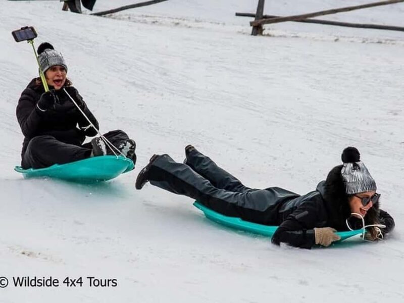 Rocky Mountain Winter Wonderland Adventure Tour - Learning About the Park’s Flora, Fauna, and History