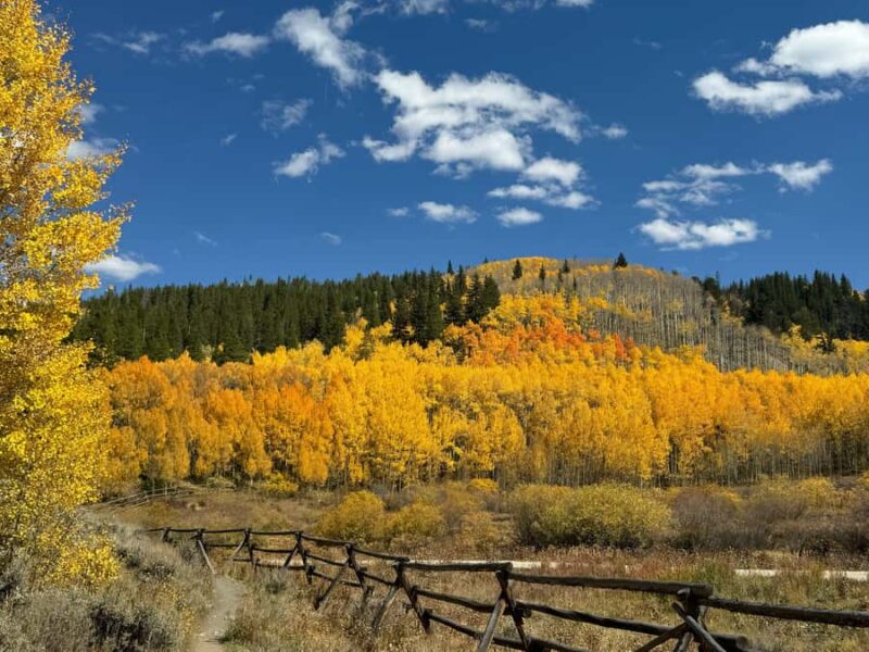 Rocky Mountains: Peak to Peak & Estes Park Small Group Tour - Lily Lake: Peaceful Walk and Scenic Views