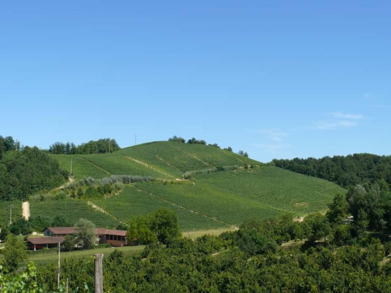 Roero: Wine Tasting Tour at Historic Family Winery - Discovering the Family Behind the Wines in Canale