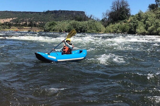 Rogue River Family Float & Discovery Park-Rafting and Kayaking - Who Will Enjoy This Tour Most?