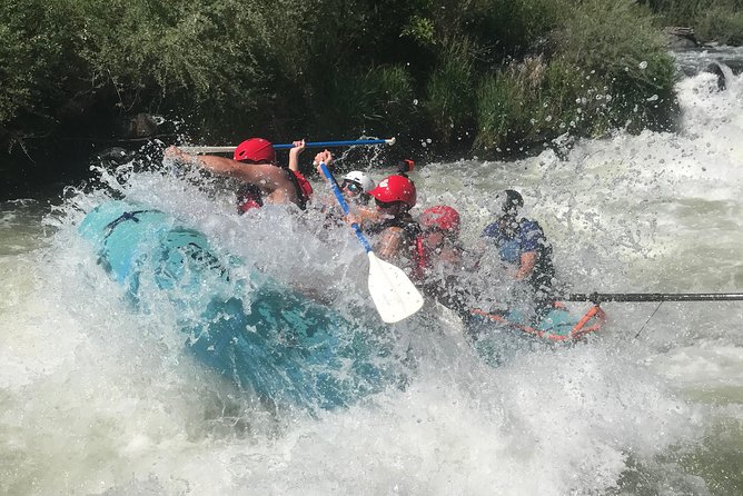 Rogue River Thrill Seeker - Cancellation Policy and Booking