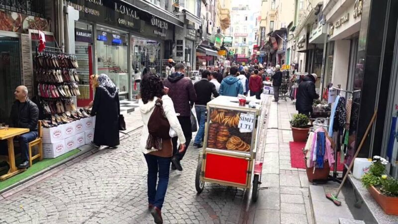 Roman Aqueduct, Sehzade Mosques &Women's Market - Transportation and Logistics in the Tour