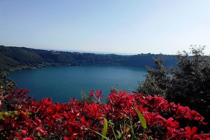 Roman Countryside: Wine and Food Tasting, Semi-Private Day Tour - Wine Tasting at the Pagnanelli Vineyard