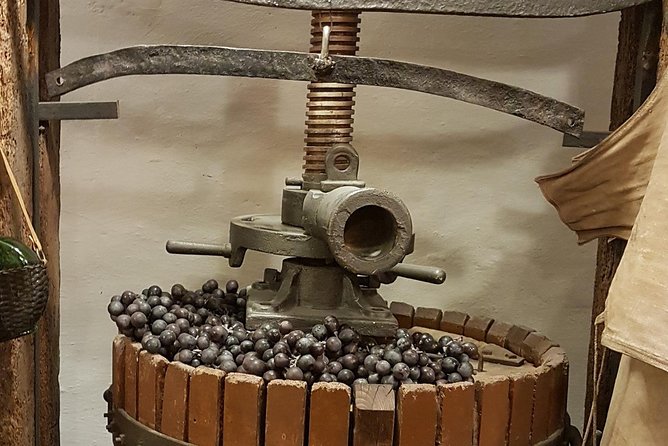 Roman Countryside: Wine and Food Tasting, Semi-Private Day Tour - The Historic Charm of Via Appia Antica and Roman Aqueducts