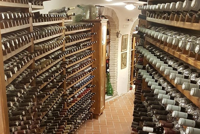 Roman Countryside: Wine and Food Tasting, Semi-Private Day Tour - Practical Details and Guest Experience