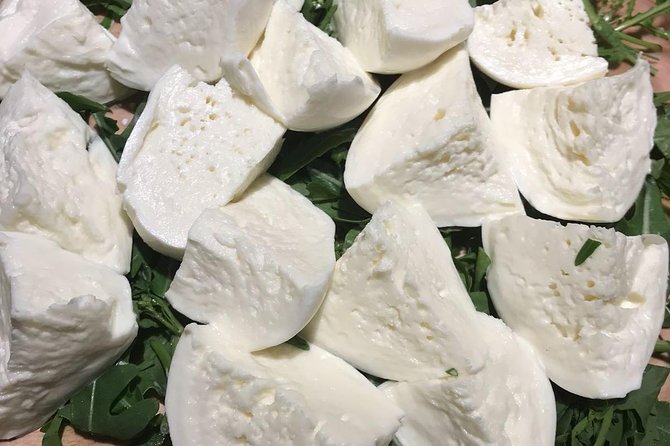 Roman Food Tour with Visit to the Trionfale Food Market - Exploring the Bustling Mercato Trionfale