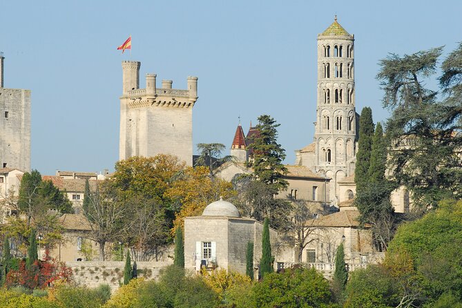 Roman heritages and Chateauneuf du Pape Wine Tour from Avignon - Logistics and Meeting Details