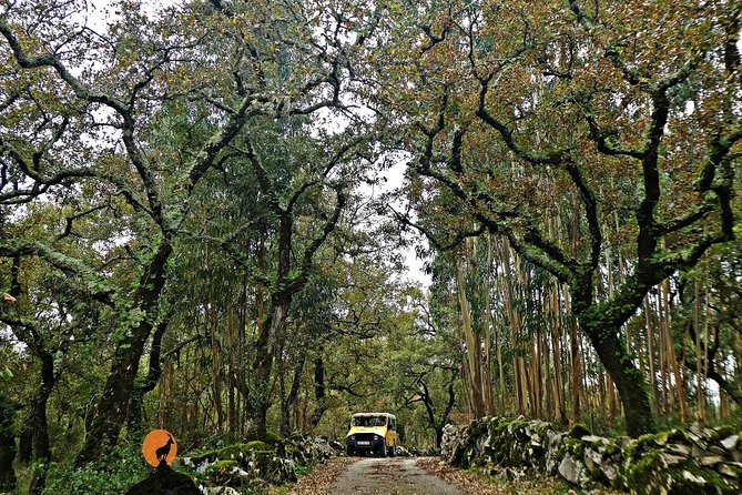 Roman Ruins of Conímbriga, Penela Castle and Buracas do Casmilo - Practical Details and Tour Logistics