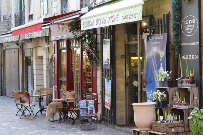 Roman Sites and Historical Places Day Trip from Avignon - Visiting the Roman Theatre of Orange