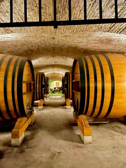 Romans and Wine - The Suitability of This Tour for Different Visitors