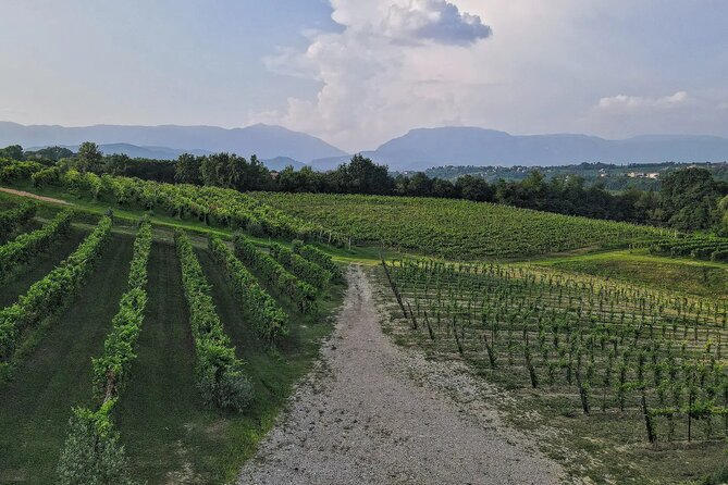 Romantic Evening Tasting with the Best Prosecco - The Sum Up: A Memorable Romantic Evening with Exceptional Prosecco