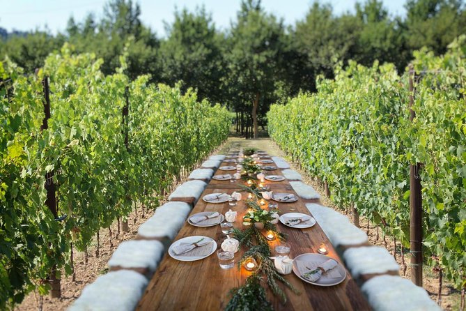 Romantic Lunch in the Vine Rows in Tuscany - The Quality of Food and Wine