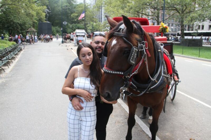 Romantic/Proposal Central Park Carriage Tour Up to 4 Adults - Celebrate Love with an Elegant Central Park Carriage Ride for Up to 4 Adults