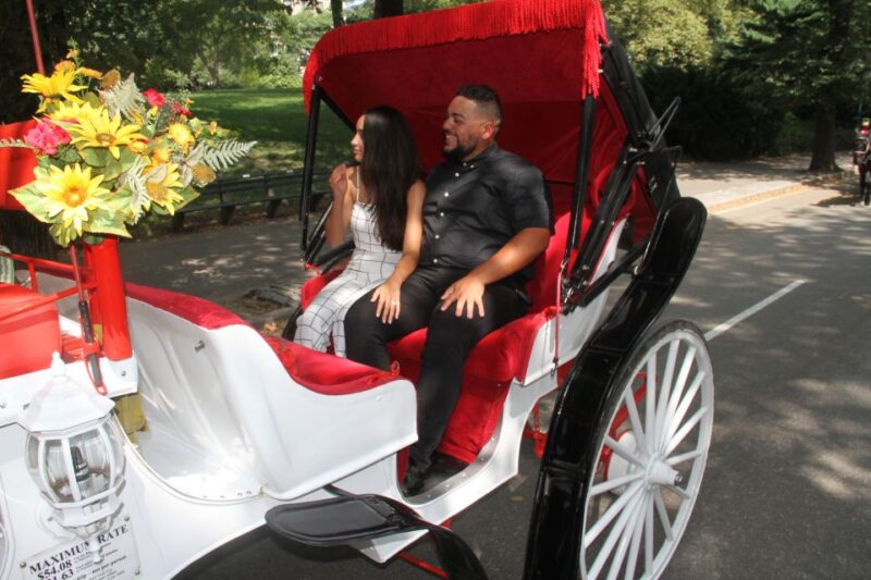 Romantic/Proposal Central Park Carriage Tour Up to 4 Adults - The Comfort and Style of the Horse-Drawn Carriage