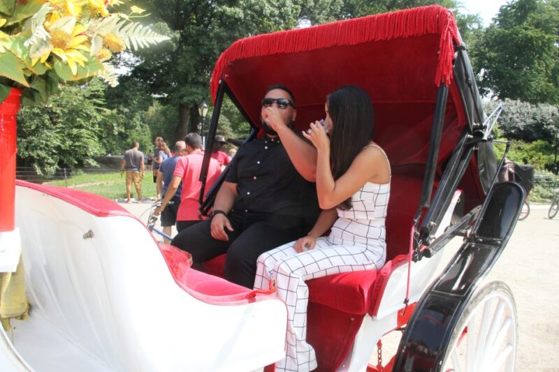 Romantic/Proposal Central Park Carriage Tour Up to 4 Adults - Logistics: Meeting Point and Group Size