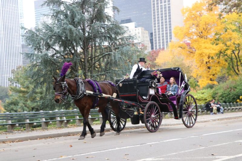 Romantic/Proposal Central Park Carriage Tour Up to 4 Adults - Weather Conditions and Cancellations