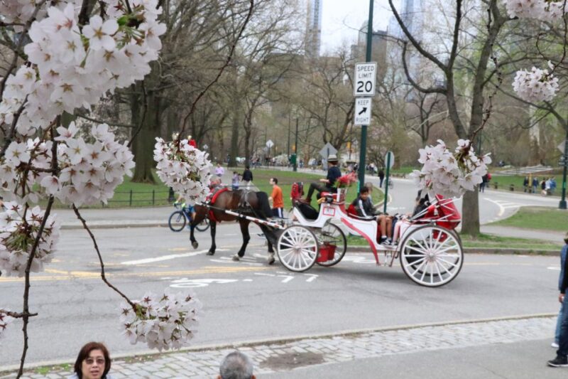 Romantic/Proposal Central Park Carriage Tour Up to 4 Adults - Pricing and Additional Costs
