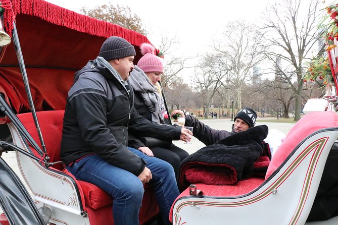 Romantic/Proposal Central Park Carriage Tour (Up to 4 Adults) - Accessibility and Group Size Considerations