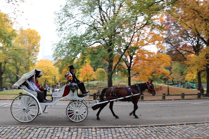Romantic/Proposal Central Park Carriage Tour (Up to 4 Adults) - Flexibility and Cancellation Policy