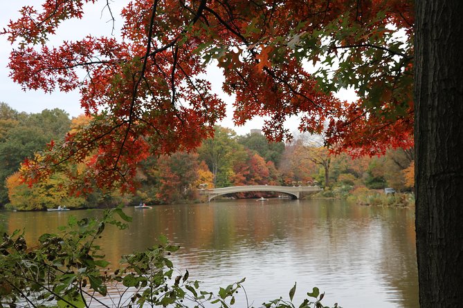 Romantic/Proposal Central Park Carriage Tour (Up to 4 Adults) - Why This Tour Stands Out for Proposals and Celebrations