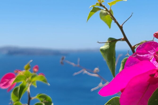 Romantic Tour through Santorini - Exploring Santorini’s Most Romantic Town: Oia