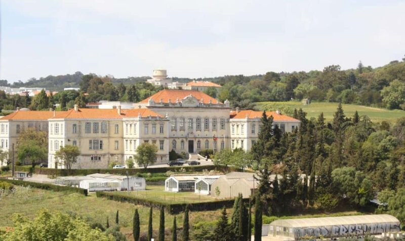 Romantic Tour with Picnic in the Unique Botanical Reserve of Tapada da Ajuda - The Picnic: Local Flavors in a Tranquil Setting
