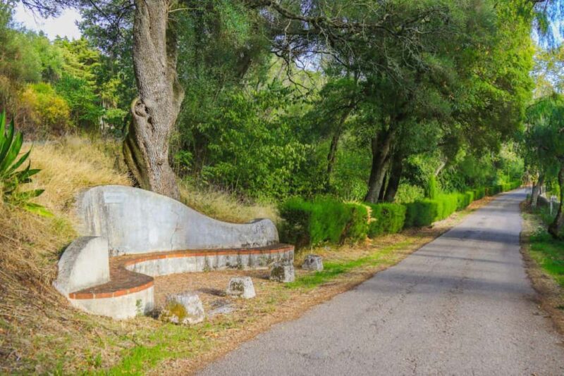 Romantic Tour with Picnic in the Unique Botanical Reserve of Tapada da Ajuda - Who Will Enjoy This Tour Most?