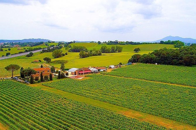 Romantic Vespa Tour and Wine Tasting - Key Points