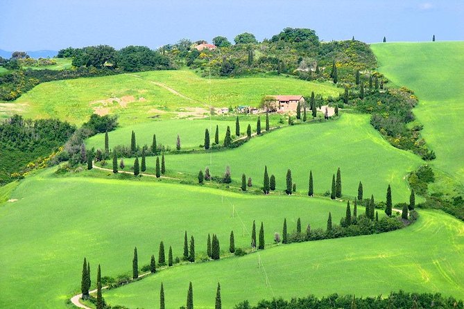 Romantic Vespa Tour and Wine Tasting - Wine Tasting at Podere Casanova’s Vineyard