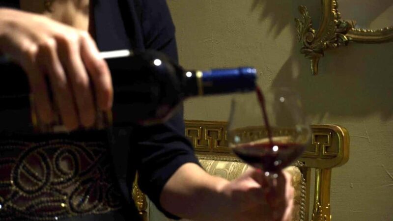 RomanticOpera concert in the artist's house on the hills and wine tasting - The Visual and Sensory Atmosphere