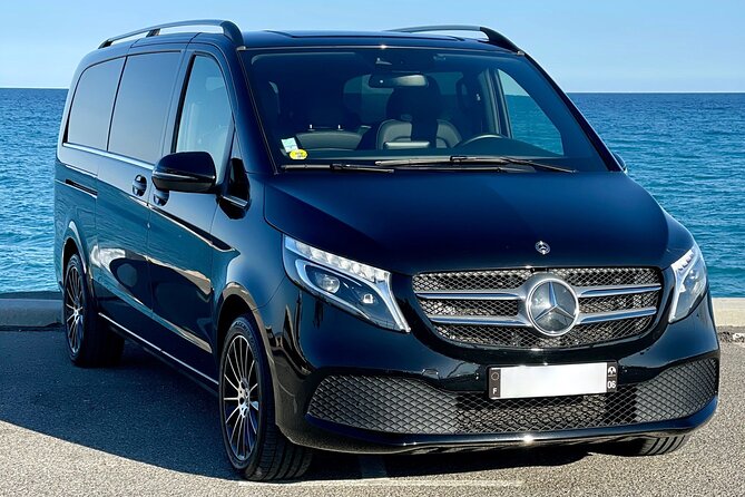 Rome Airport FCO Transfer to Civitavecchia Port by Luxury Van - Group Size and Exclusivity of the Service