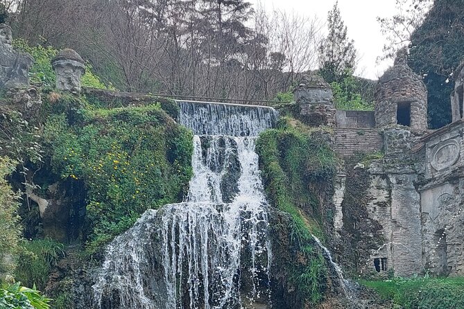 Rome and Airports Trasfers to Civitavechia Port - Potential Limitations: Weather and Language Barriers