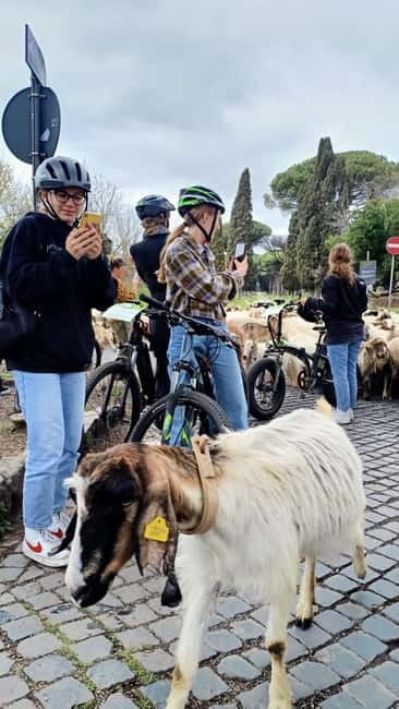 Rome: Appian Way, Aqueducts, & Catacombs E-Bike Guided Tour - Safety and Route Optimization for a Smooth Day