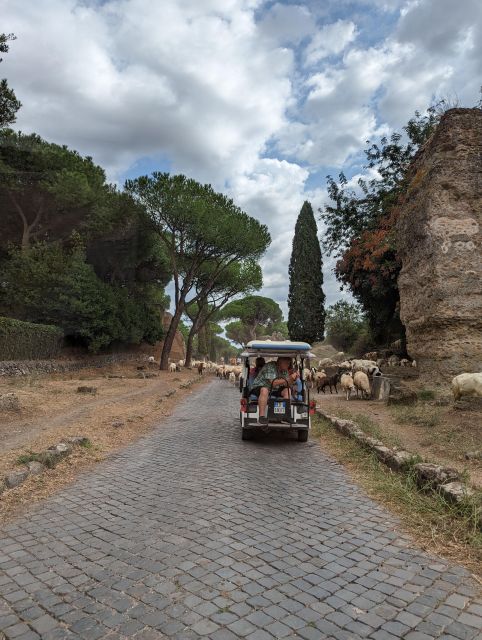 Rome: Appian Way & Catacombs Golf Cart Shared Tour - Who Will Most Appreciate This Tour?