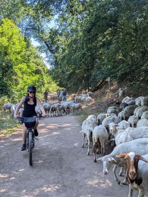 Rome: Appian Way E-Bike 4.5h W/Private Transfer-Skip Traffic - Explore Rome’s Historic Appian Way on a Guided E-Bike Tour