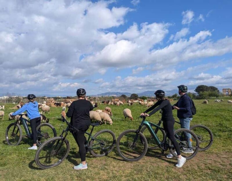 Rome: Appian Way E-Bike tour & Ancient Underground Labyrinth - The Guide’s Role in Enhancing the Experience